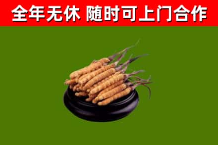 安塞区烟酒回收冬虫夏草.jpg